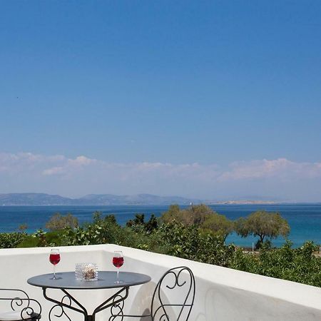 Aneli Luxury Villas-Villa Aegina Dış mekan fotoğraf