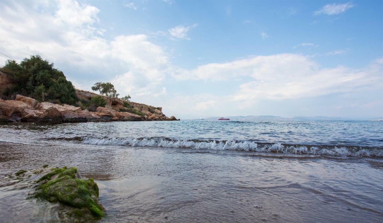 Aneli Luxury Villas-Villa Aegina Dış mekan fotoğraf